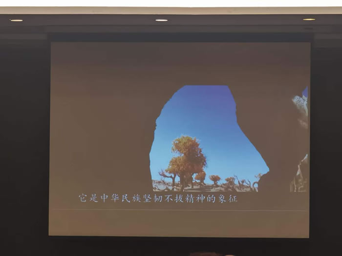 綿陽中旅行假日旅行社舉行胡楊林、南疆專列推薦會