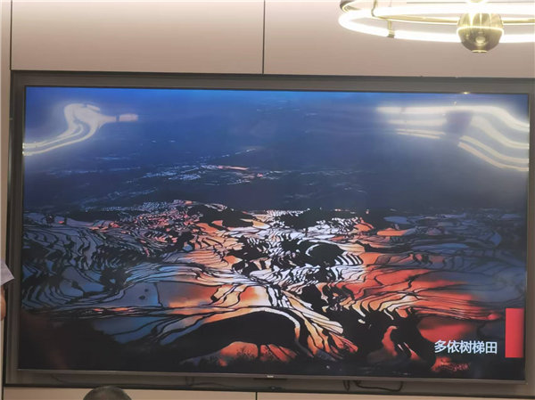 綿陽中旅行假日旅行社舉行“什邡號.2025熊貓專列”旅游線路分享會